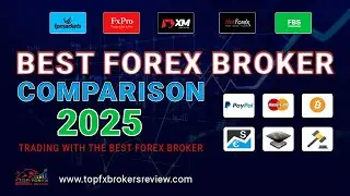 Best Forex Brokers List 2024: Trading with the Best Forex Broker