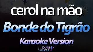 🔥 Cerol Na Mão - Bonde do Tigrão (Karaokê Version) (Cover)