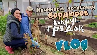 VLOG ll Начинаем установку бордюров