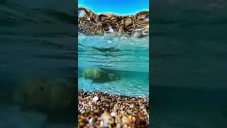 Два мира 🌍