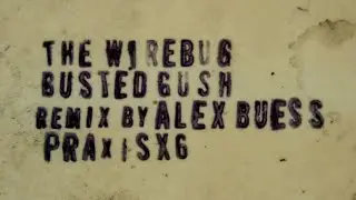 The Wirebug: Busted Gush [Remix by Alex Buess, PraxisX6, 2024]