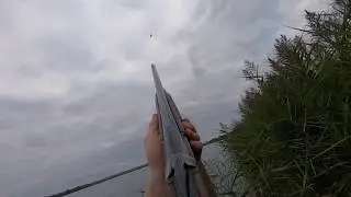 Охота на уток сентябрь 2019. Duck hunting September 2019