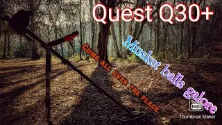 Quest Q30 in the woods.