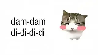 Dam Dam DidiDidi Cat - Lyrics