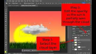 Layer Opacity