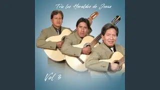Bella Mansión