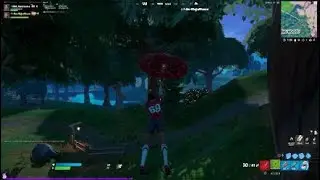 Wtf Fortnite