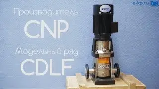 Насос CNP CDLF | Pump CNP CDLF