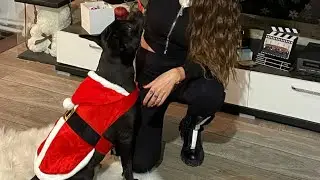 Revederea mea cu Zorro❤️🐶 Ce i a adus Moș Craciun😂🥰