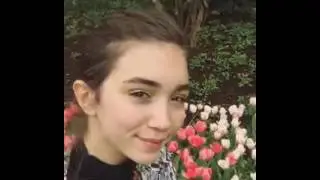 Rowan Clip