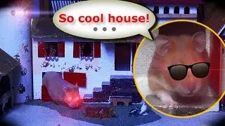 Java the funny pirate Hamster explores a new incredible House Palace (a farm)!