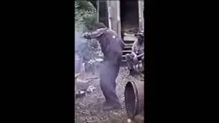 Moonshine