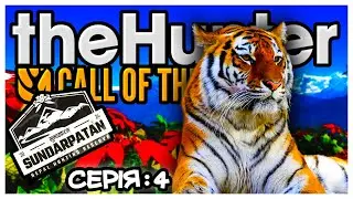 the Hunter Call of the Wild⛰️SUNDARPATAN🐯ПЕРШІ КРОКИ НА НОВІЙ МАПІ/СЕРІЯ 4