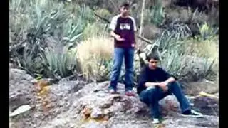 magia borras