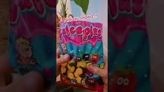 Nieuwe snoep van Dulceplus, 100% Halal
