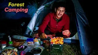 Night Camping In Uttarakhand Forest | Forest Camping In India | Unknown Dreamer