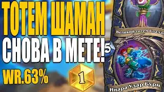 СИЛЬНЕЙШАЯ СБОРКА ТОТЕМ ШАМАНА! | ТОП КОЛОДА ШАМАНА! | Гонки новолуния Hearthstone