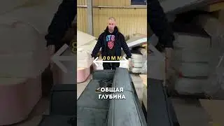 28 октября 2023 г.