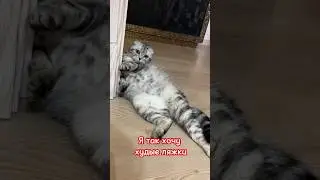 😂 Я ТАК ХОЧУ ХУДЫЕ ЛЯЖКИ 😂