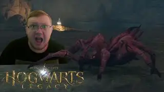ПАУЧЬЕ ЛОГОВО В ПАУЧЬЕМ ЛЕСУ #9 Hogwarts Legacy