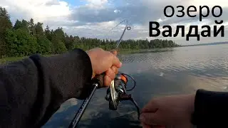 Spinning fishing. Lake Valdai