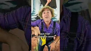 Agro Pimba