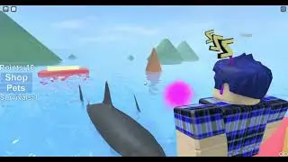 เอาตัวรอดจากอุทกภัย ในเกม TSUNAMI SURVIVAL Roblox