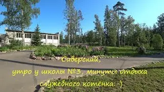 Сиверский, утро у школы №3, минуты отдыха служебного котёнка:-)