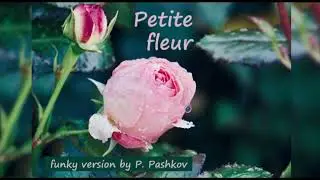 The best interpretation of PETITE FLEUR. Listen one more time if you didn't understood)