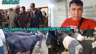 SAMARQAND V OQ DARYO TUMANI YANGI QURG'ON CHORVA BOZORIDAN NARXLAR ELYOR UZ 📠 901998090