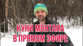 👅КУНИ МОНТАНА НА СТРИМЕ