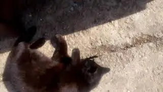 Я вернулась