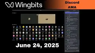 Wingbits Discord Stage: June 24th 2025 - Don't miss updates and Q&A!