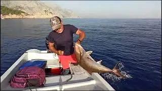 BALIK AVINDA KISMETLI BIR GUN - www.adrasanbalik.com