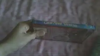 Opening to The Great Mouse Detective 2002 DVD