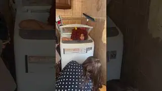 بادما بالغسالة 🤣
