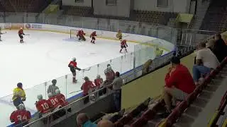 21.08.19.Химик - Авангард(Балашиха) 2:1.Летний Кубок.2003г.р.