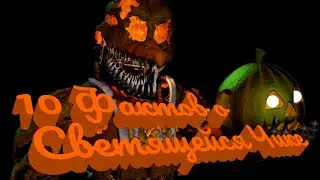 10 Фактов о Jack-o-Chica