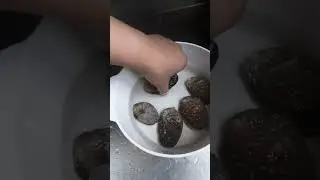 fresh abalone #shorts