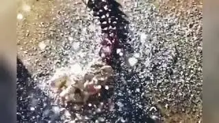 ЗАЛИПАШКИ С ВОДОЙ💖#2 (и другииим)