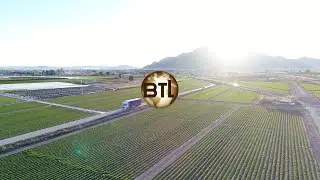 Bernatrans Logística (BTL) - Nos movemos por ti