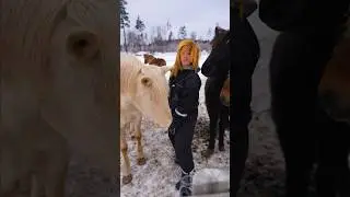 Om jag var EN HÄST 🐴