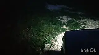 отличный свет на ниву