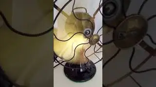 Emersion cleaner