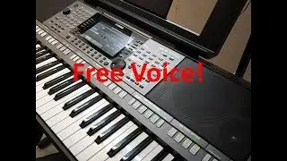 Free Voice -  Brass Burst Yamaha Arranger Keyboard  - Expansion Voice