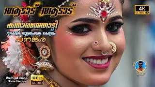ആടാട് ആടാട് | കന്നാരത്തൊട്ടി ഭദ്രകാളി-സുബ്രഹ്മണ്യ ക്ഷേത്രം പനങ്കര | താലപ്പൊലി ഘോഷയാത്ര 2026 vMv