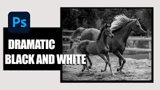 Making a Dramatic Black and White Image in Photoshop | QUICK AND EASY| adobe photoshop tutorial