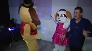 СИМВОЛЫ ГОДА СОБАЧКИ И БУМАЖНОЕ ШОУ.