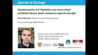 Pierre Mariotte - Harper Prize Highly Commended Paper 2017