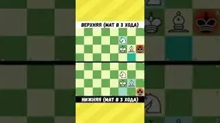 Мат в 3 хода. Mat in 3 moves. Задачи - БЛИЗНЕЦЫ. Как поставить мат в шахматах 